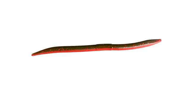 1060 Worm