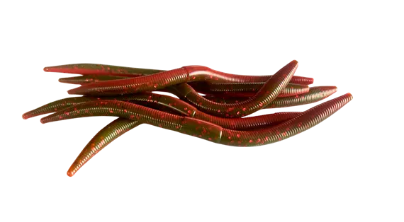 1060 Worm